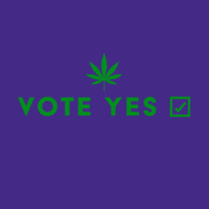 Vote Yes Women's Fitted T  Design