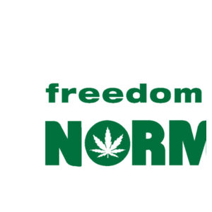 Freedom is NORML Coaster (square hardboard) Design